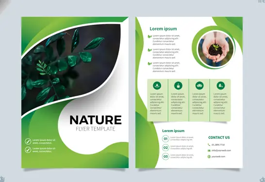 Brochure Design