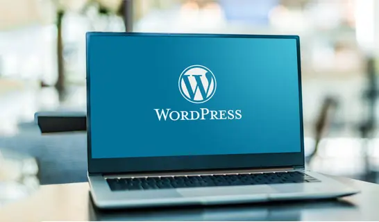 WordPress Development